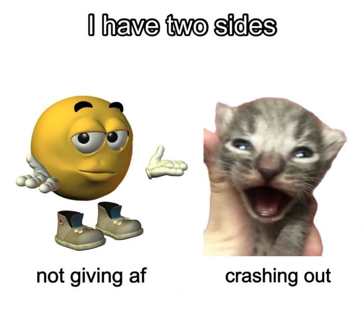 coolcatsociety's tweet image. 