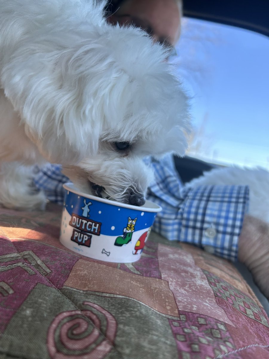 Mama just went rogue at da <a href="/DutchBros/">Dutch Bros Coffee</a> dis lady in da front car let her doggie out to do his bizness and did not picks it up 🫣
Mama tooked a bag over to hers said ise finks you need one of dese, Merry Christmas! 😂😂😂😂
Oh, Mama!!! #berespectfulpetowners