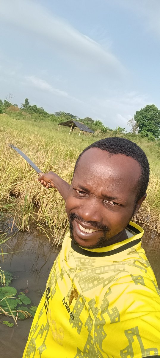 Okon_Eteobong's tweet image. Especially farming?

Farming business is not a seasonal business since hunger is not seasonal 

Those saying he is a terrible boss will come back to say there is no food because some guys went on holiday.

I'm speaking from my farm currently, come and beat me 🤗