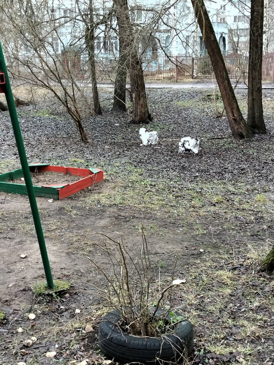 В саудовской Аравии выпал снег впервые за 30 лет,и  у нас тоже есть снег в этом году, чем мы хуже ?😁