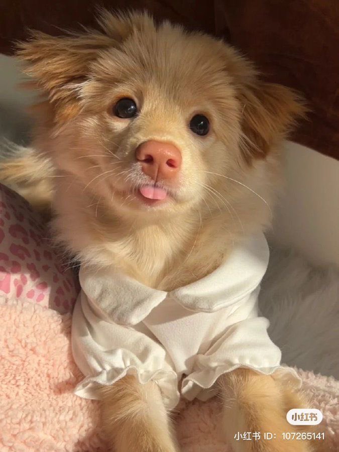 twaniimals's tweet photo. https://t.co/bMYDs8FEPD