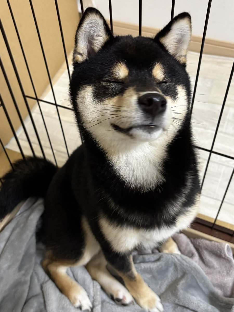 とっておきの両目👀ウインク