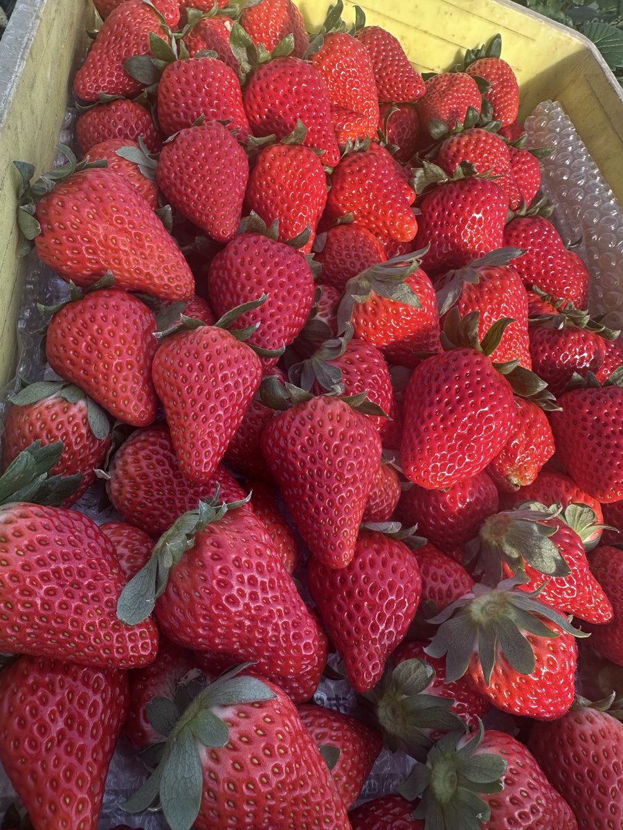 飯島一貴 (@Turizanmai27) / Posts / X