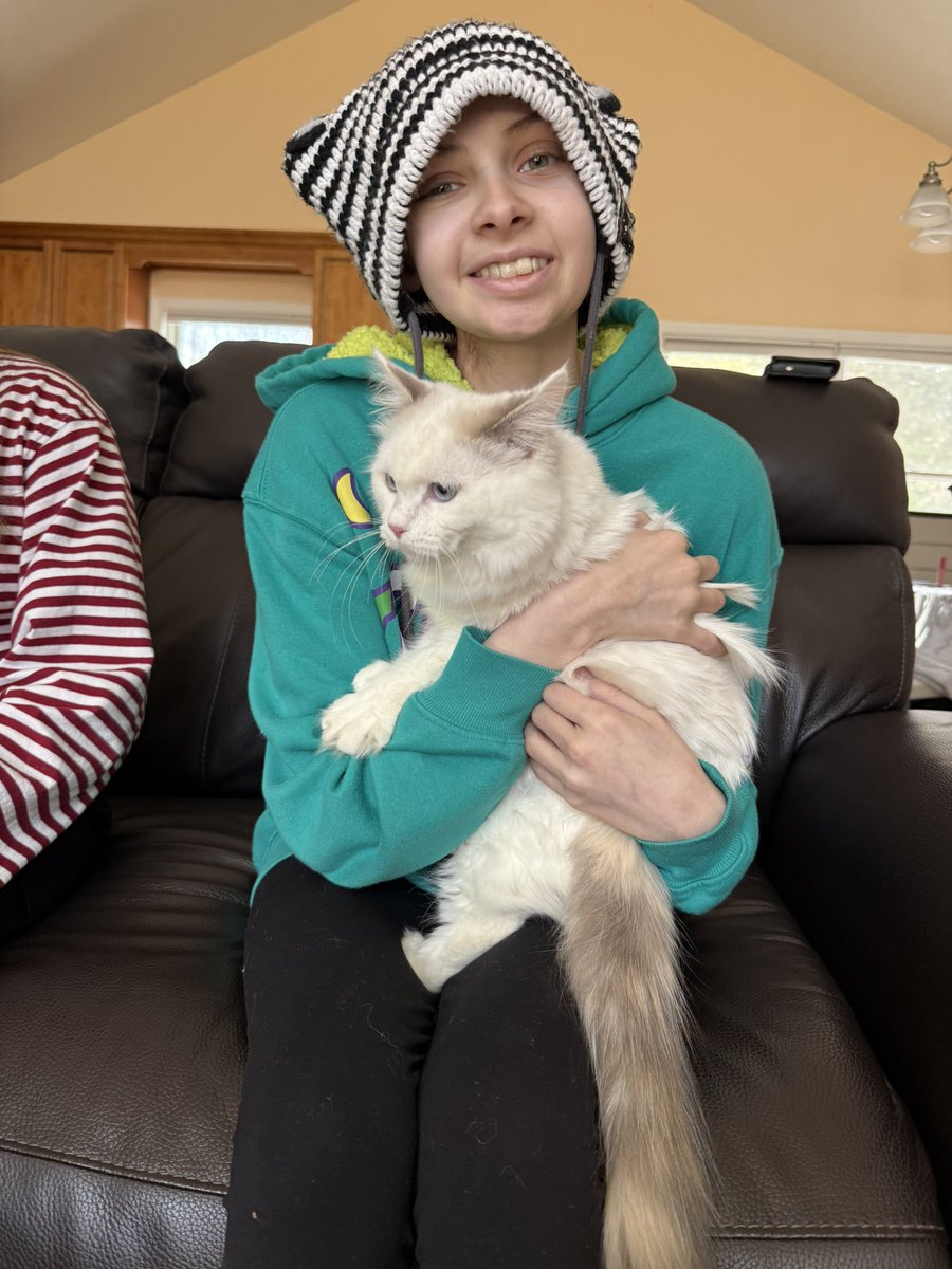 Rebecca Perrotto tweet media