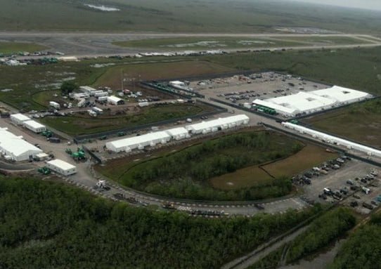 Elephant Signal 🐘🇺🇸 tweet media