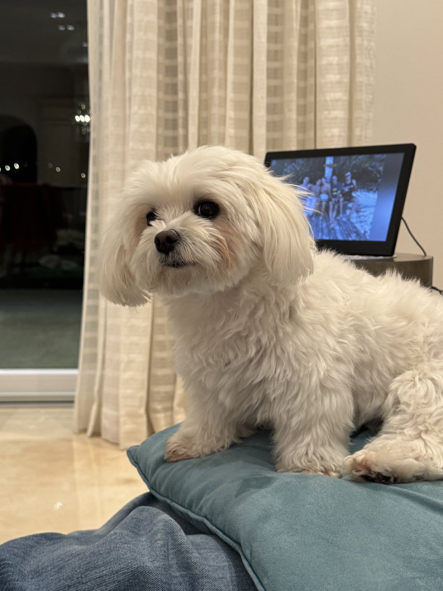 Kyffin Simpson tweet media