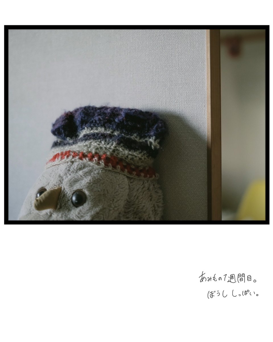 __qp__com's tweet image. 