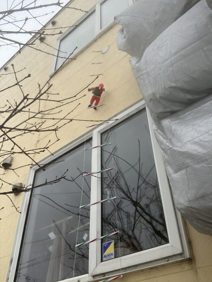 cosine_com's tweet image. 冬至の日に、木のぬくもりと「これから」を想う。
Ｎo.4047　2025年12月22日（月）（-7℃⇒0℃）雪
わくわく様です。
〜あたたかな暮らしは、小さな習わしから〜
今日は冬至。
一年でいちばん昼が短く、これから少しずつ光が戻ってくる日です。
朝の食卓には、かぼちゃと小豆
x.gd/73nDC