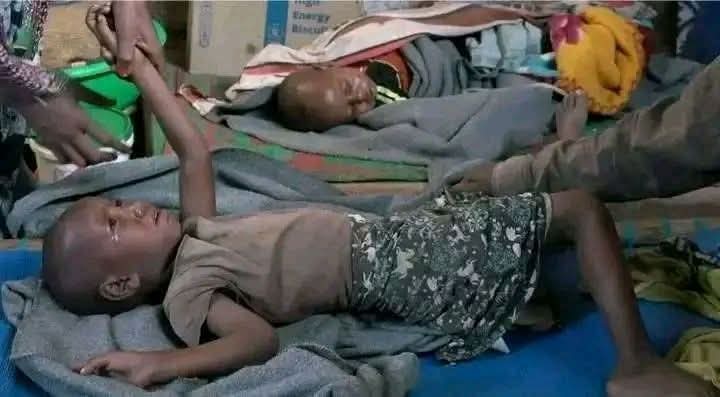 NhameduBrg3298's tweet photo. **Call to Action:**

As a proud member of the Blue Revolution of Eritrea, I am deeply committed to addressing the urgent humanitarian crisis in Tigray. The suffering of countless individuals calls for immediate action from humanitarian agencies and government institutions. We must collectively strive for a lasting solution that not only alleviates the current plight of those affected but also lays the groundwork for a more stable and just future.

Even the smallest actions can create powerful ripples of hope. Whether it’s raising awareness, advocating for policy changes, or directly supporting those in need, every effort counts. Ask yourself: What can you do today to contribute to this vital cause?

We stand at a pivotal moment, and your voice matters. Let’s unite our efforts to ensure that justice and humanity prevail. Together, we can foster real change and support the victims of this crisis.

Join me in this crucial endeavor. 

#ActNow #Humanity #JusticeForTigray  
@SenateForeign @Europarl_EN @UKParliament @WHO @RefugeesMedia @martinplaut @amnesty @faminefight @Samrina2117737 @Danait7oq @Danaity70 @SelamMeley @TigraySelm77126 @Barchu_1_9 @AzebAz6 @firi86818302
