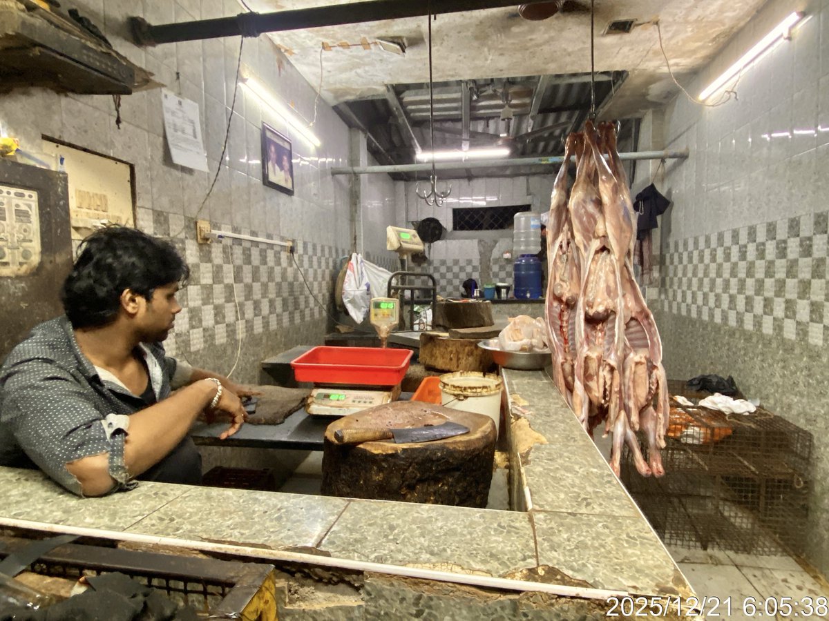 rinrinrin47disk's tweet image. 人間と動物が近い場所

メトロ出口でワンコ
今や貴重な光景…道端に牛
肉屋さんには枝肉がぷらんぷらん

きれいな黒い子牛✨7-8ヶ月くらい？１歳にはなってないよね？

『マトン』って言われたけど、この国ではヒツジとヤギをあまり区別しないらしい。マトンカレーは大抵ヤギ肉
#RINdia2526