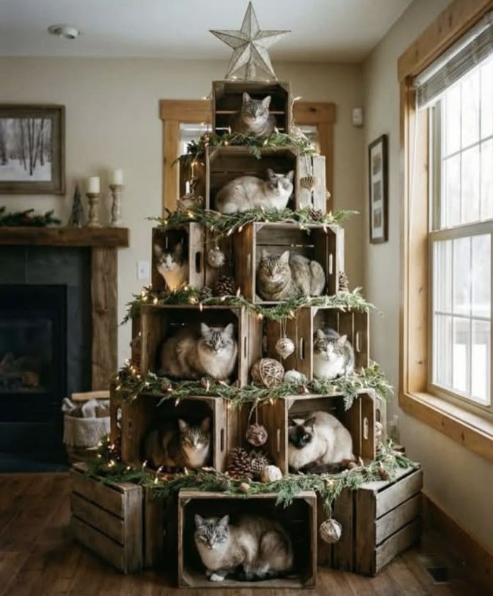 dcd728's tweet photo. #Best #ChristmasTree ever! #Kitties #boxes #deckthehalls https://t.co/uGcil5rgus