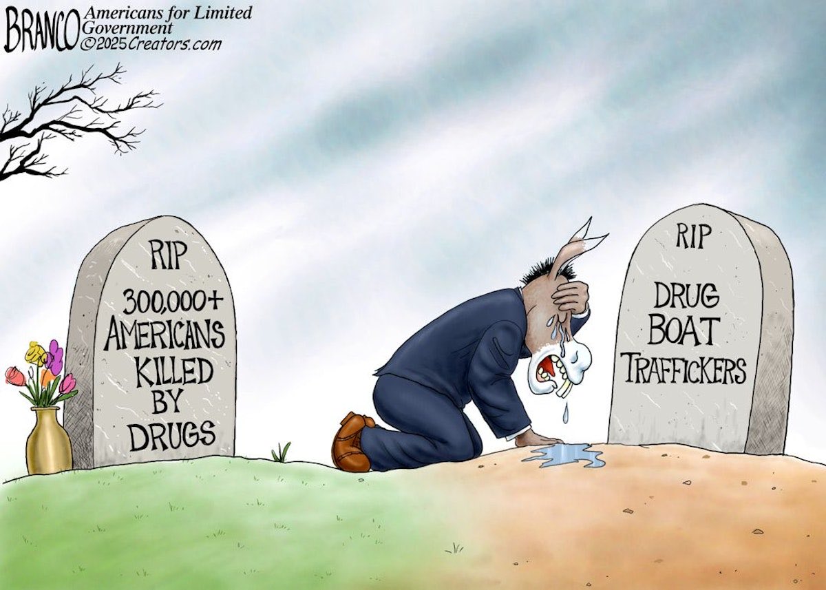 _Canach's tweet image. 