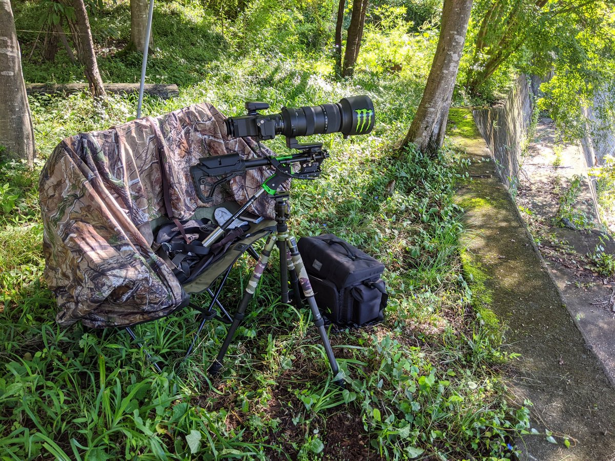 5axCamera's tweet image. Shot Hunter
野鳥撮影

#5Ax
#野鳥撮影 
#hunting