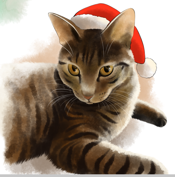 「猫練習」|竹下けんじろうのイラスト