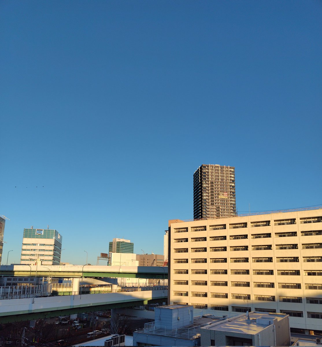 夏みかん🍊 tweet media