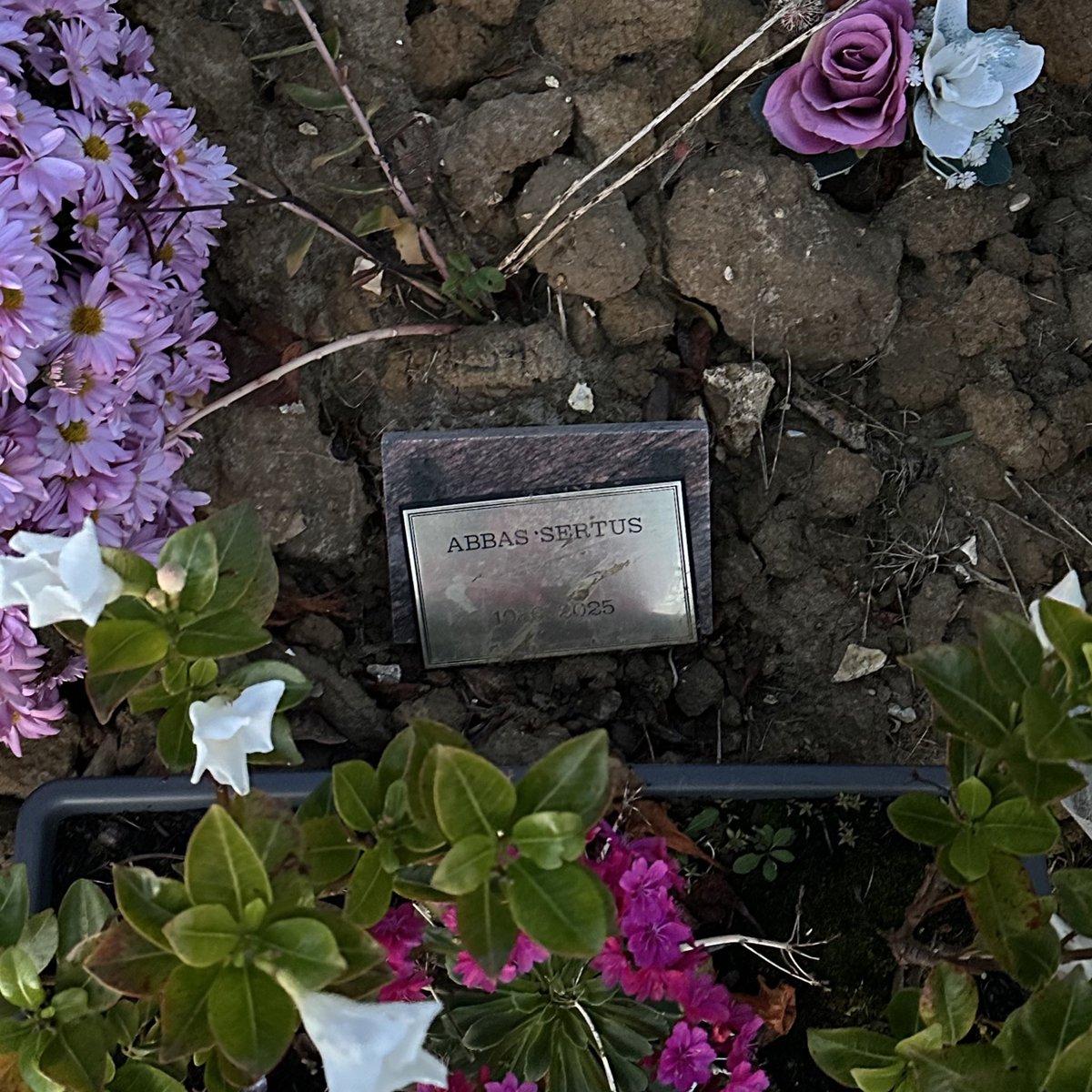 OumChaton's tweet photo. Le 9 novembre 2025, je découvre la sépulture d'Abbas Sertus, au cimetière de Wissant.
Cet homme courageux, émouvant et profondément inspirant, dont la vie a été marquée par les épreuves et la rudesse.
Son nom m'était inconnu, mais son histoire m'a profondément bouleversée... https://t.co/90qQOpTAsK