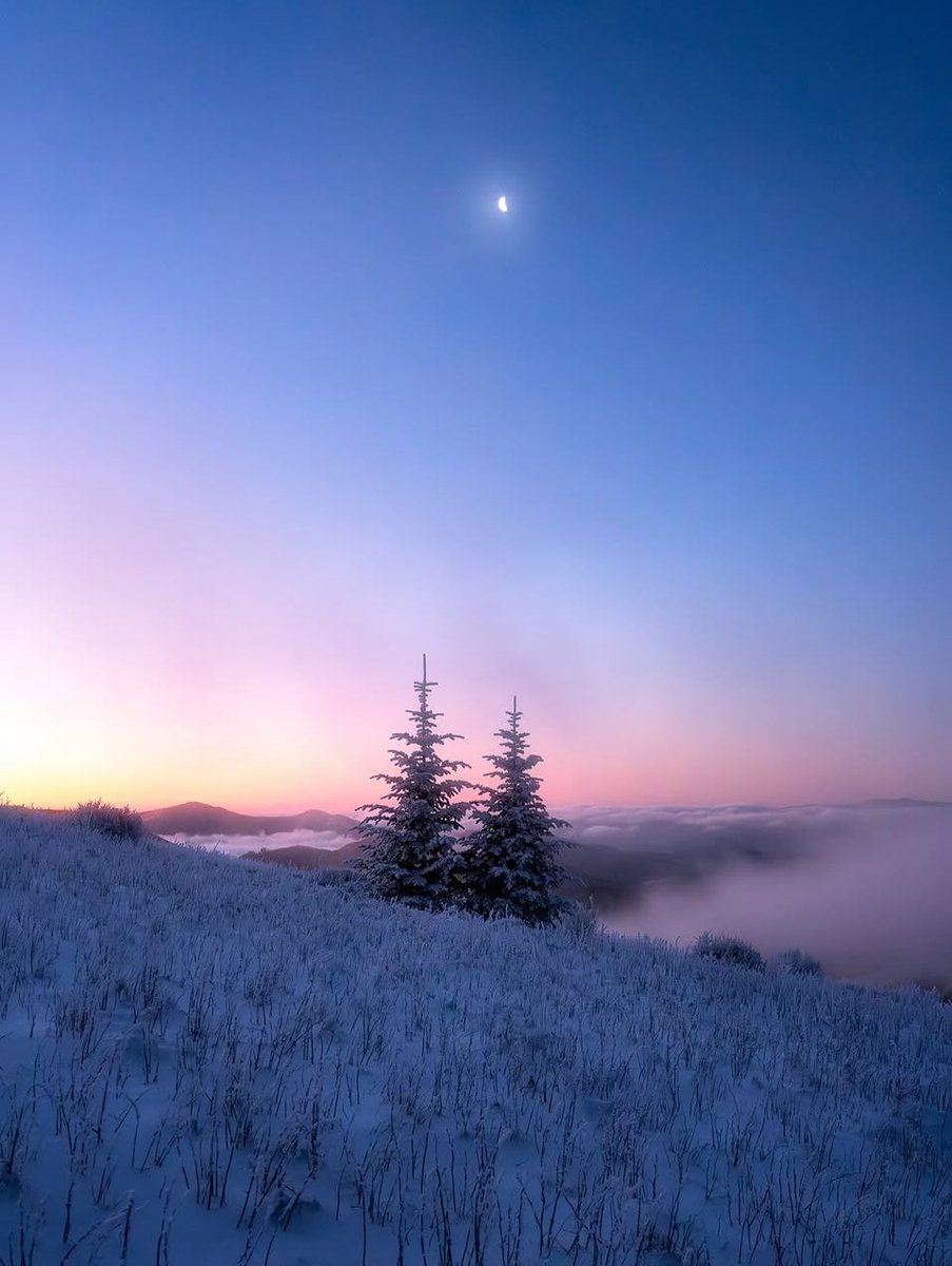 AmeliaMerica76's tweet image. Good evening from
North Carolina!