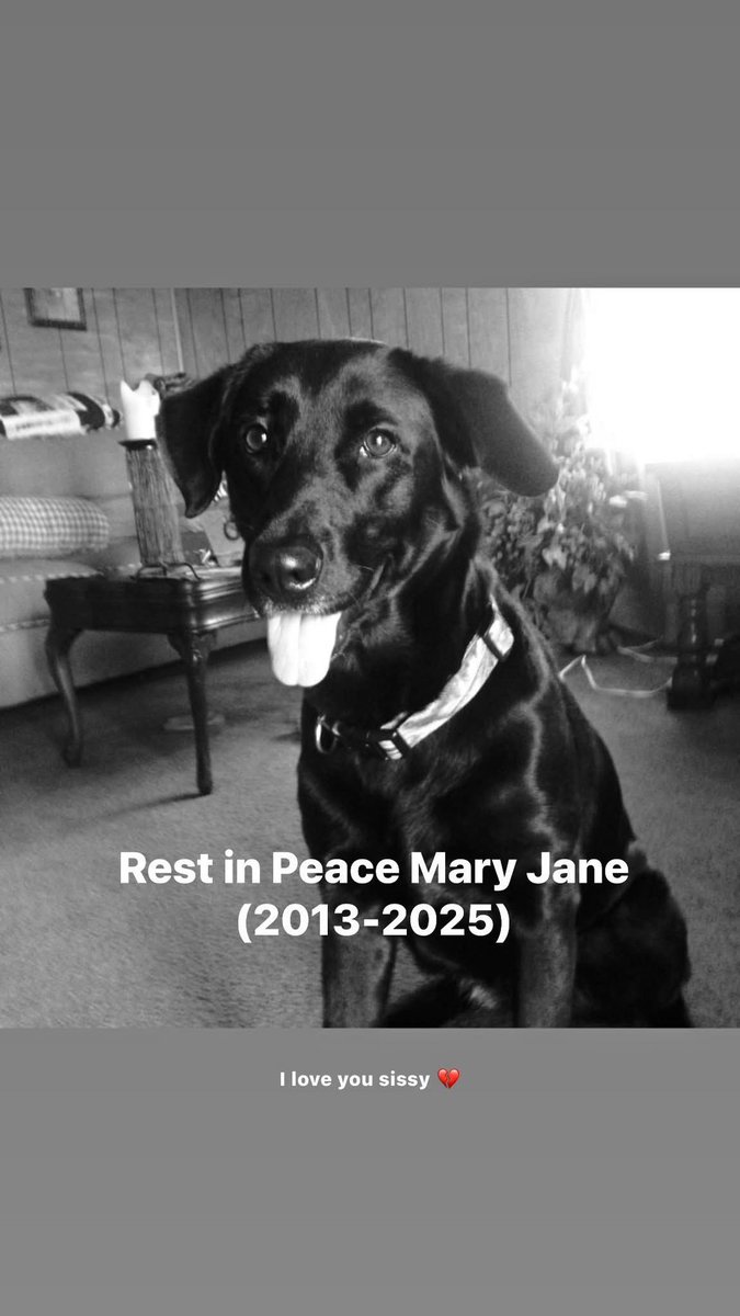 Absolutely devastated. Rest in Peace Mary Jane (2013-2025)