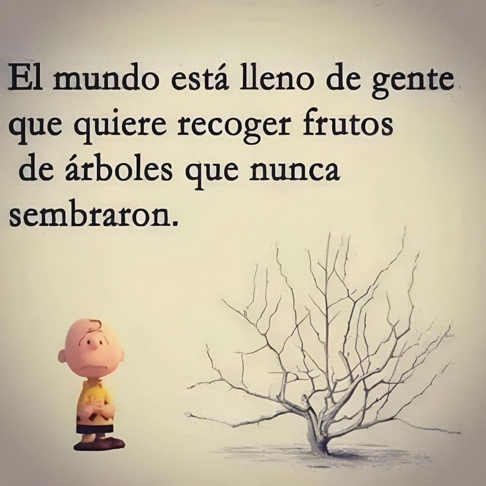 El mundo está lleno de socialistas...