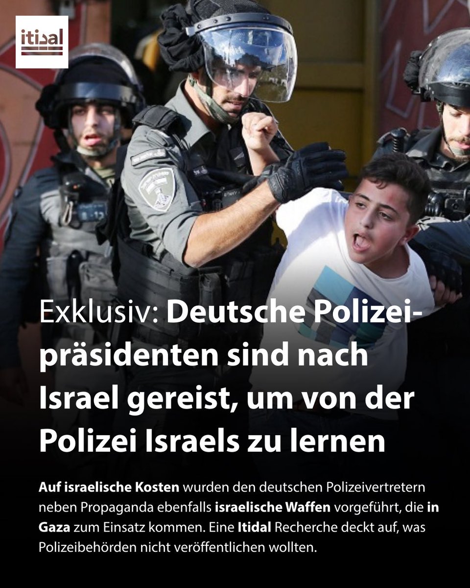 Tarek Baé tweet media