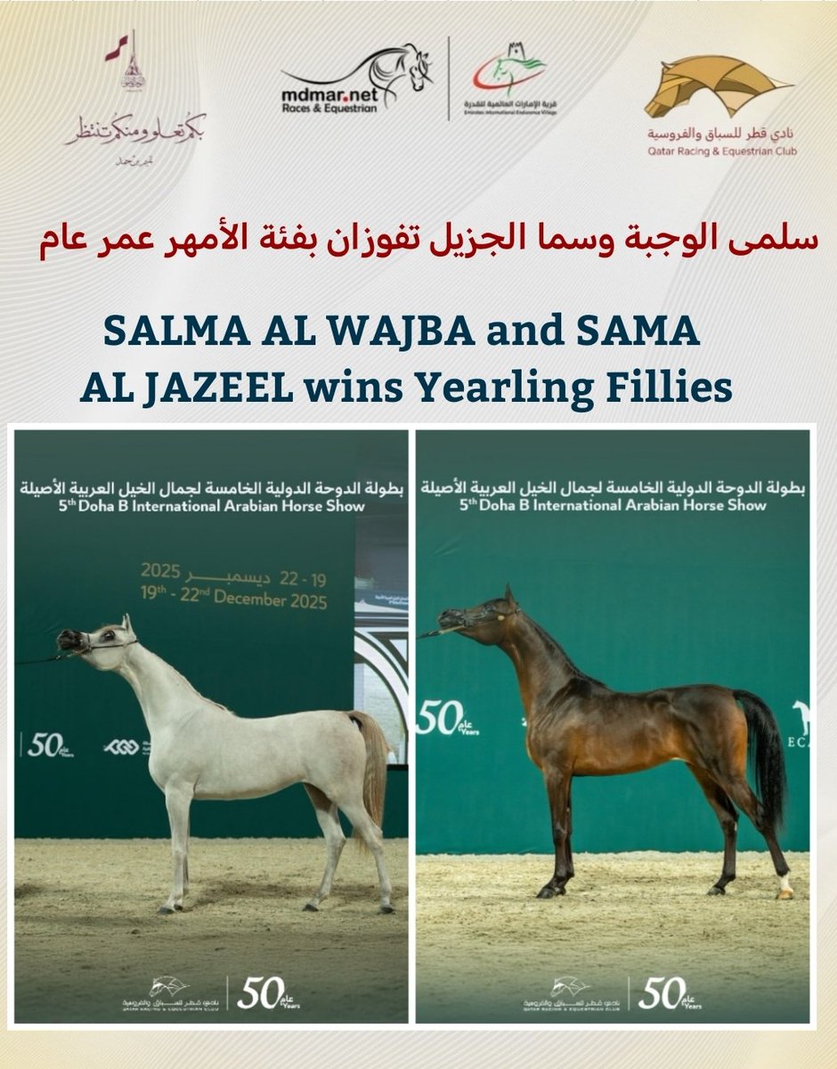 SALMA AL WAJBA and SAMA AL JAZEEL wins
 Yearling Fillies
سلمى الوجبة وسما الجزيل تفوزان بفئة الأمهر عمر عام 
#موقع_مضمار #خيول #قطر #الدوحة 
#نادي_قطر_للسباق_والفروسية 
                 instagram.com/p/DSc4jO_DKEO/…