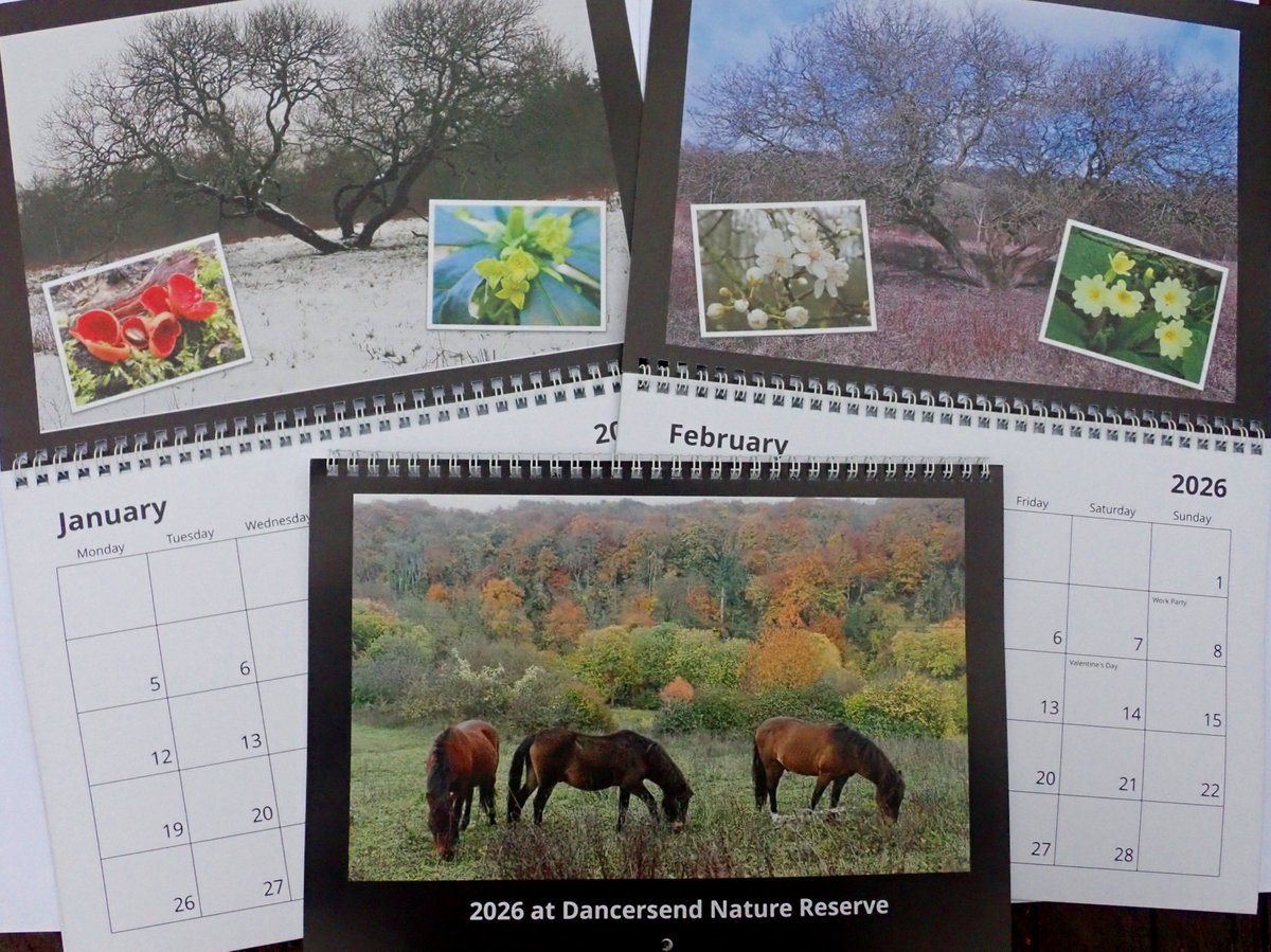 Mick Jones tweet media