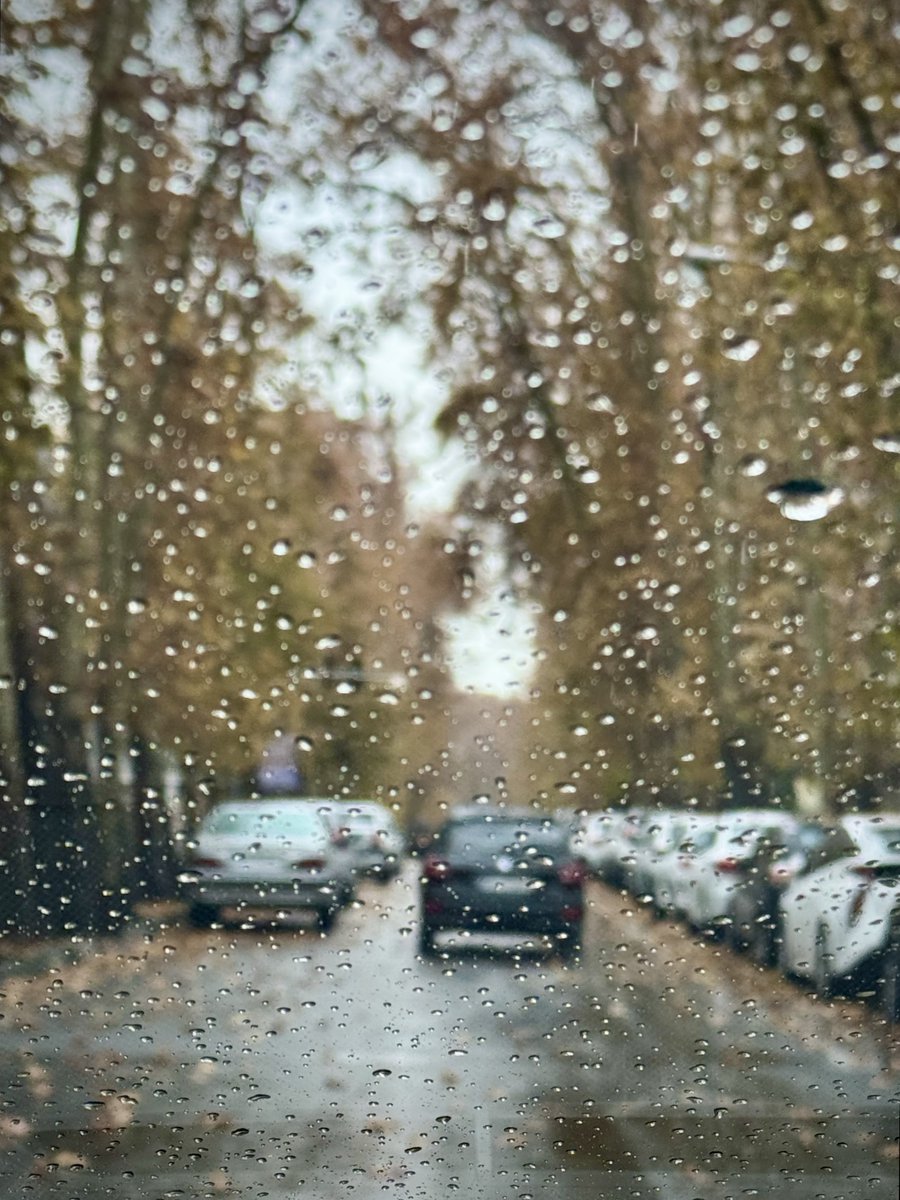 آذر؛ چيزى شبيه پاييز