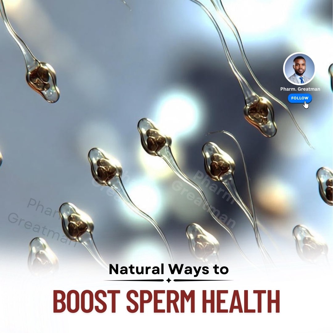 OGreat6's tweet photo. NATURAL WAYS TO BOOST SPERM PRODUCTION

Your lifestyle and diet play a huge role in sperm health. Small changes can improve both quantity and quality naturally.

Learn these small changes below 👇🏾 https://t.co/K7HYPS8WRm