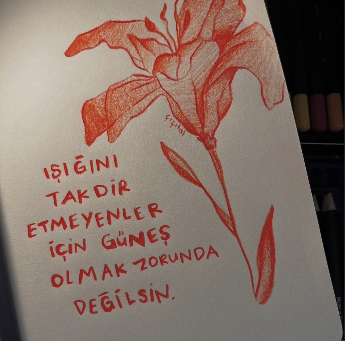 ütopiksel (@utopivento) on Twitter photo 