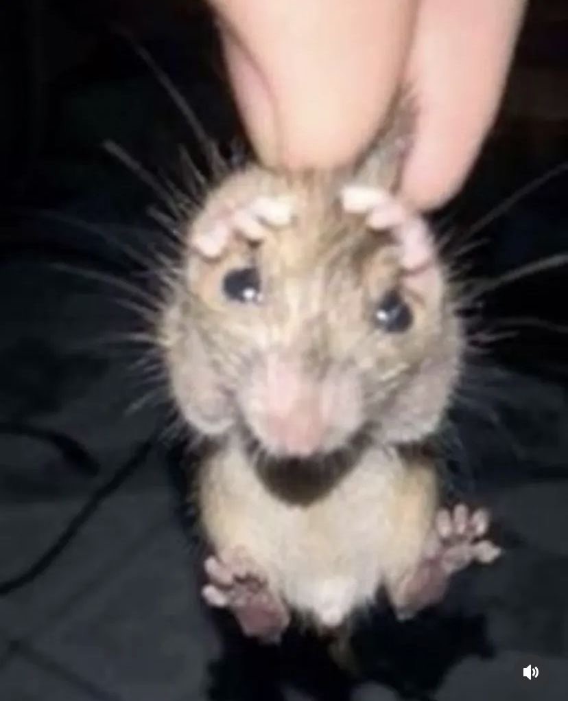 no me prende la pc martha