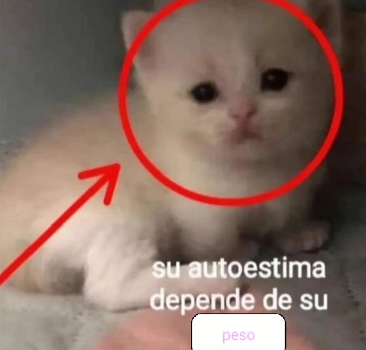 Todos los caminos me llevan a matarme de hambre