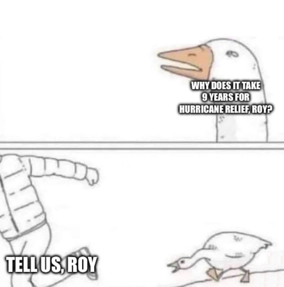 mandirising's tweet image. 