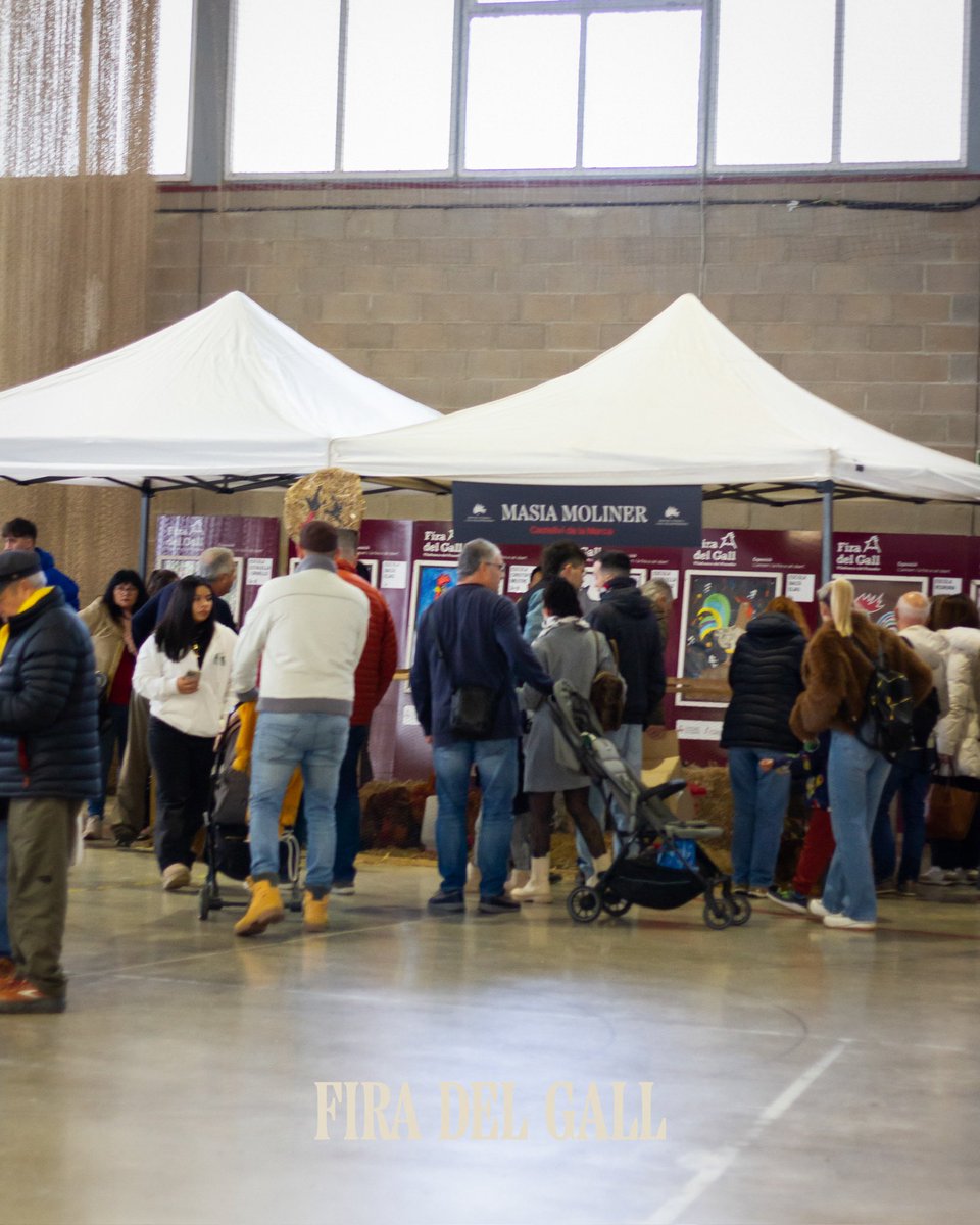 Fira del Gall tweet media