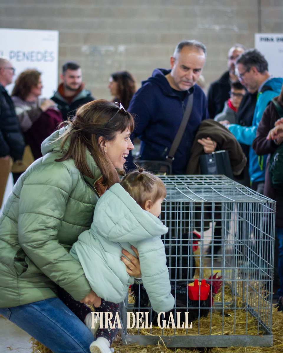 Fira del Gall tweet media