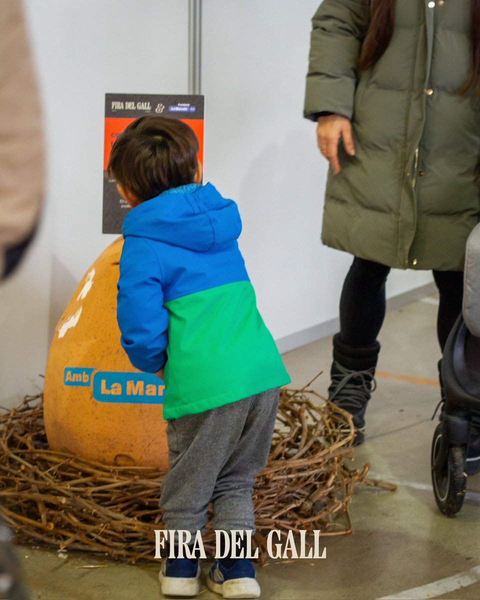 Fira del Gall tweet media