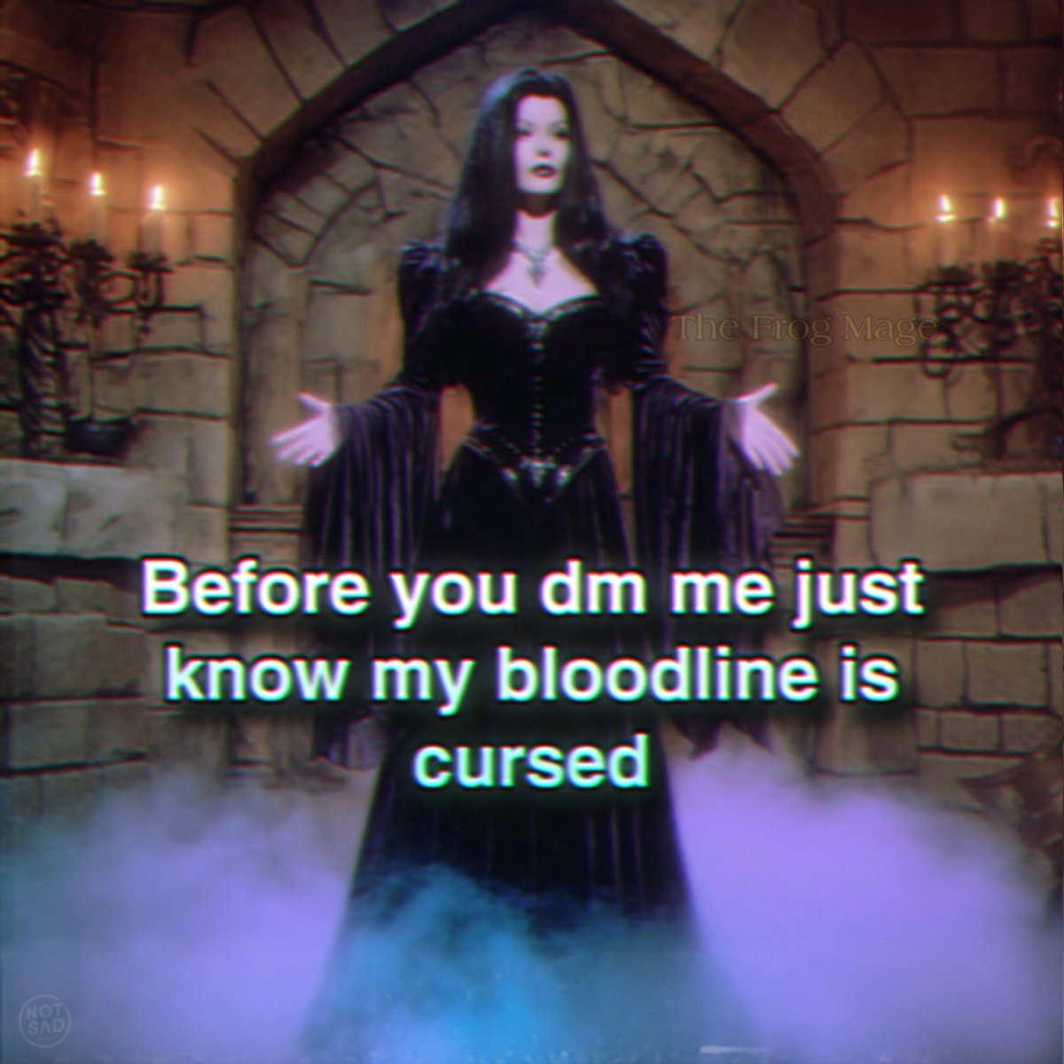 the_frog_mage's tweet image. 