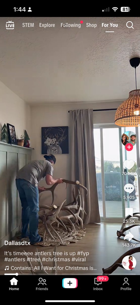 starrswillfade's tweet image. oh my god. how many Neds did they kill.