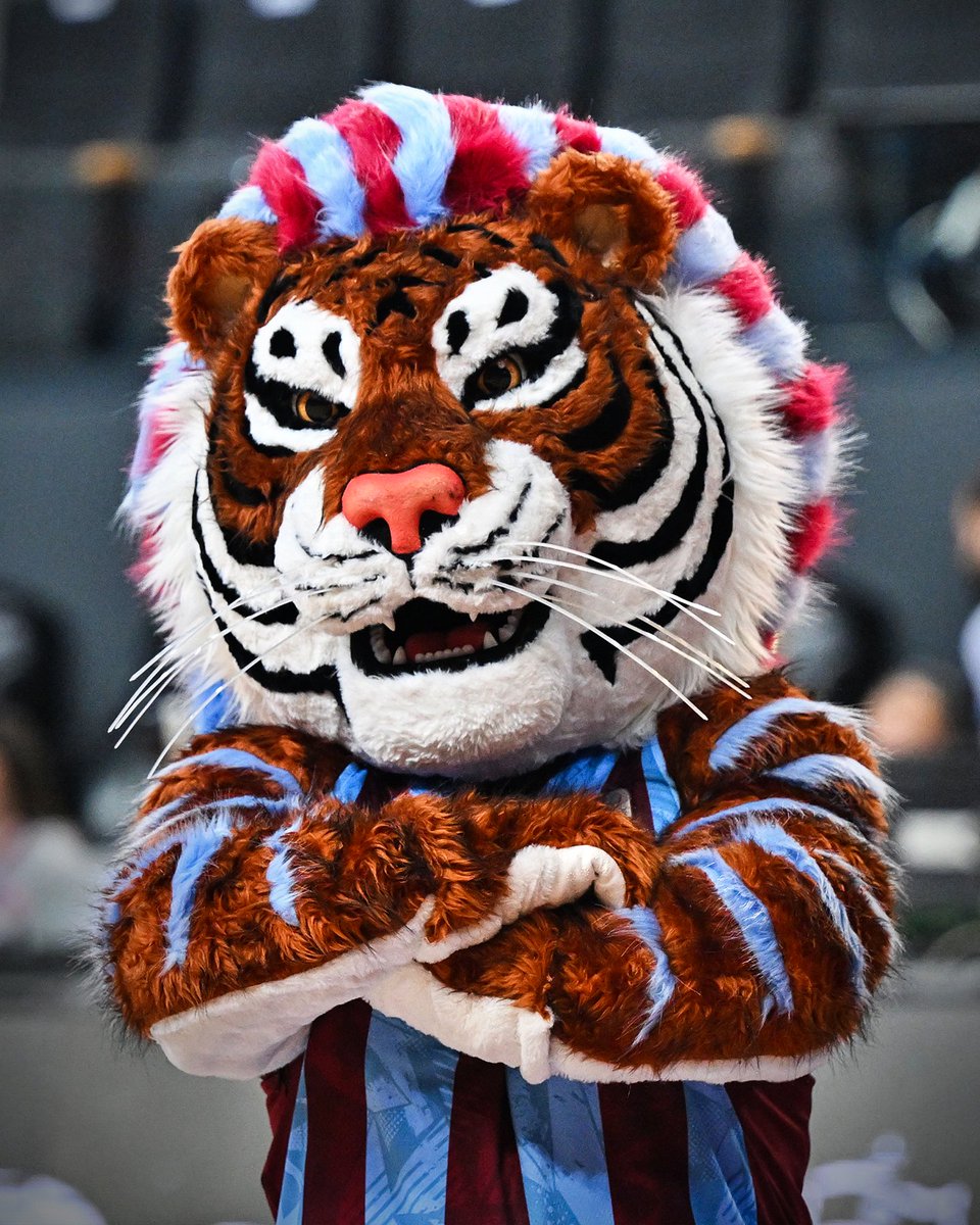 #BOVİ çok iyi olmuş hem sempatik hem caydırıcı #Trabzonspor <a href="/Trabzonspor/">Trabzonspor</a>