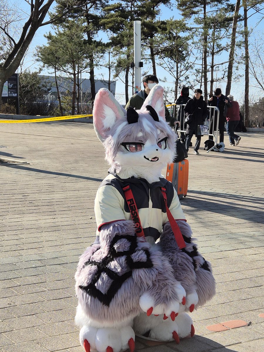 dolami_15's tweet image. 251221 12코  사진 타래