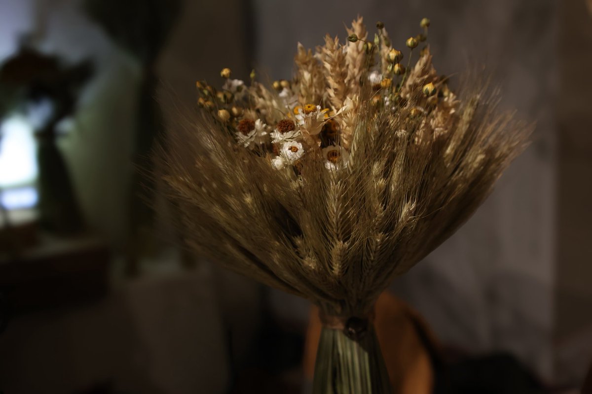 Yaroslava tweet media