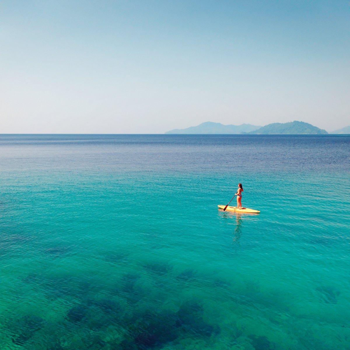 Stay Beyond Green tweet media