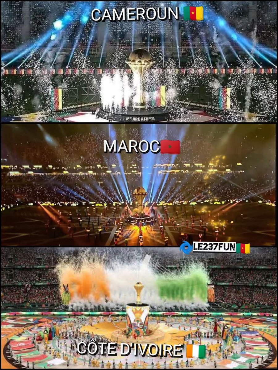 AllezLesLions tweet media