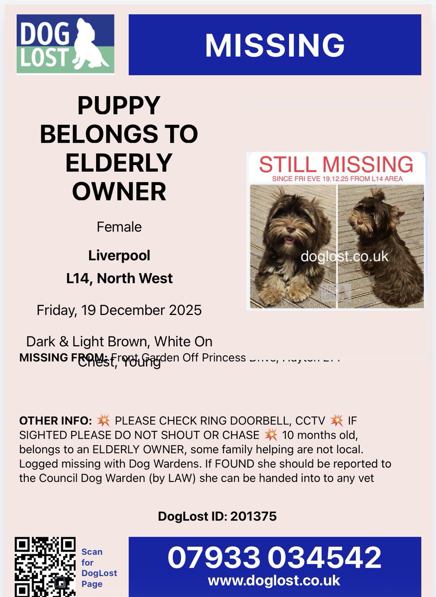 VetsGetScanning's tweet photo. #PUPPY MISSING SINCE 19.12.25 #HUYTON, #Liverpool, #Merseyside, #L14 AREA 

Female, 10 months old, belongs to an ELDERLY OWNER, some family helping but are not local. Logged missing with Dog Wardens. If FOUND she can be taken to any veterinary clinic to have her microchip registration checked to bring her back home. 

Any info please CONTACT: 079330345442

Family are not used to using Facebook and not local

FB: https://t.co/hgvKZlTc41

Doglost website: https://t.co/USLvBJbaAL

#LostDog #MissingDog #TheftByFinding #PetTheftReform #PetAbduction #ScanMe #MakeChipsCount