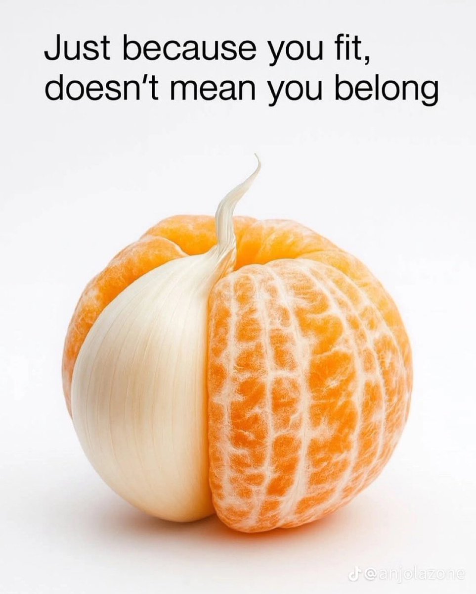 First_Born102's tweet image. 💯💯💯