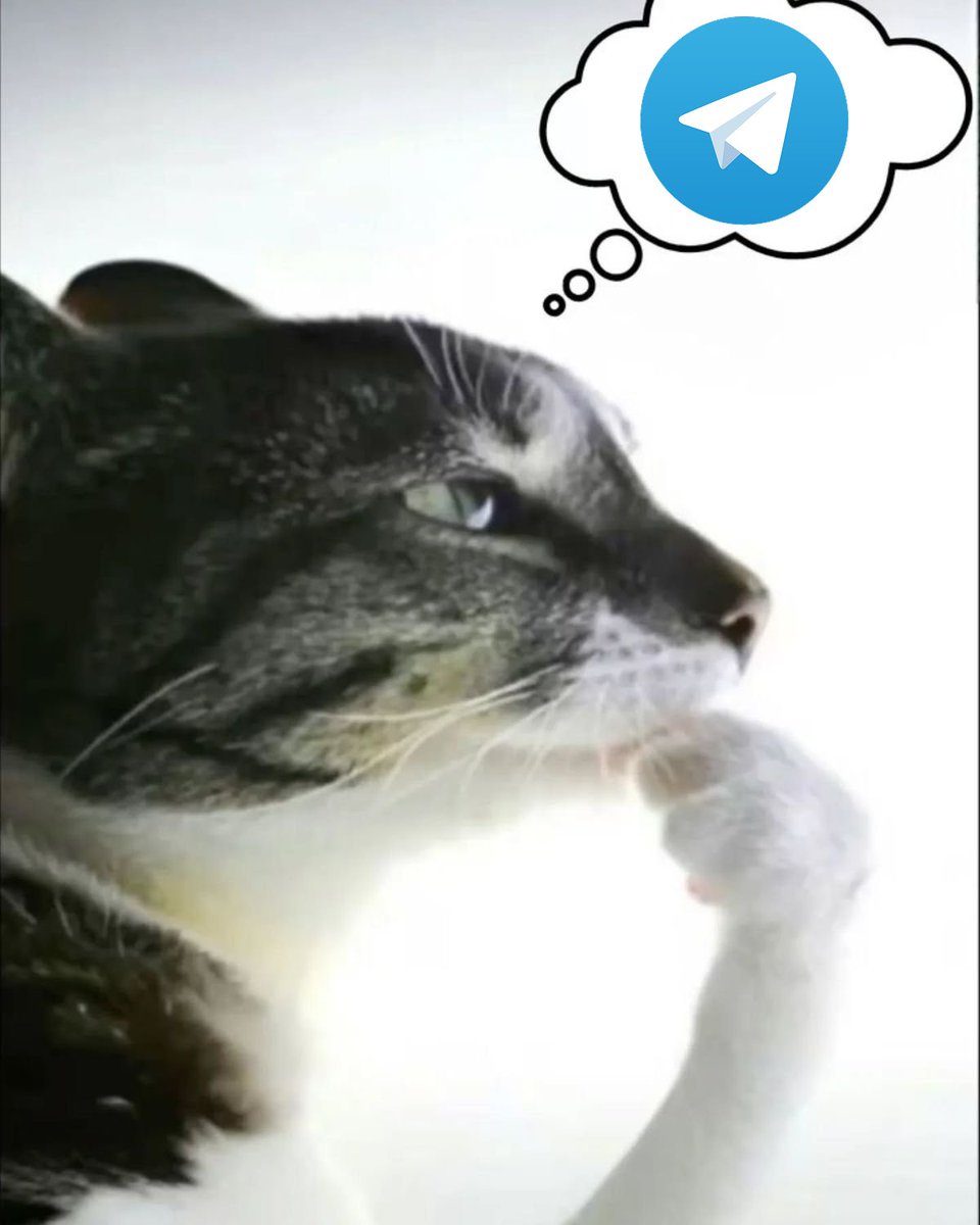 Is telegram underrated in community building?

In an X Space from <a href="/reintern/">Re Intern</a>, discussed the topic: "Is Telegram underrated in community building?" I have thought about this and decided to share my thoughts.

The host was <a href="/reintern/">Re Intern</a>, co-host was <a href="/ChazEevee/">ChazEevee | (re) 🌎</a>, and among the speakers