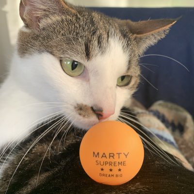 Emd0267's tweet photo. #NewProfilePic https://t.co/fMN2hAnRht