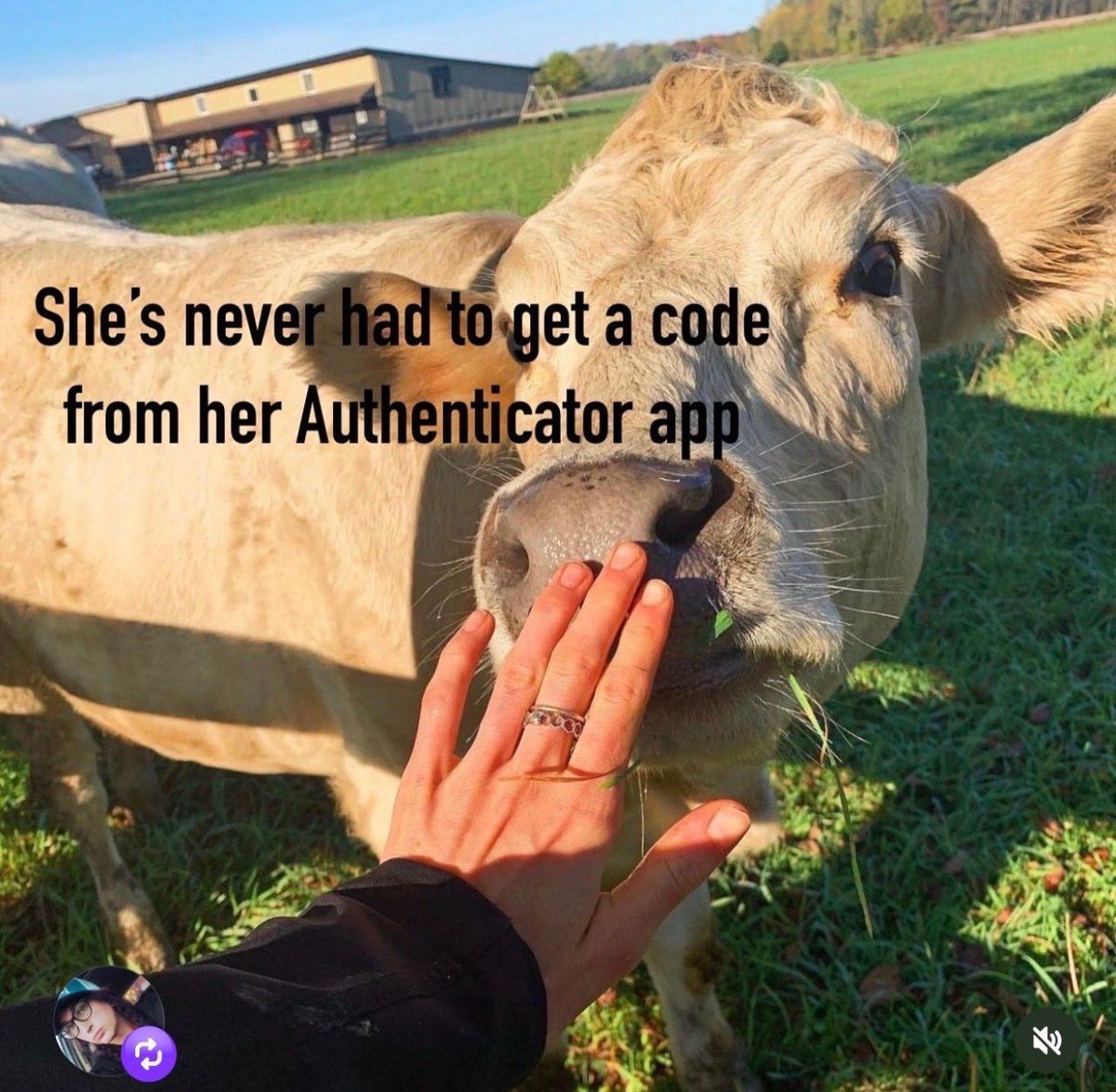 equine__dentist's tweet image. 