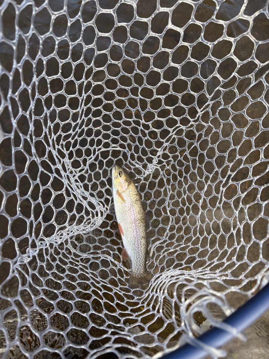 Bob “bag” Clouser tweet media