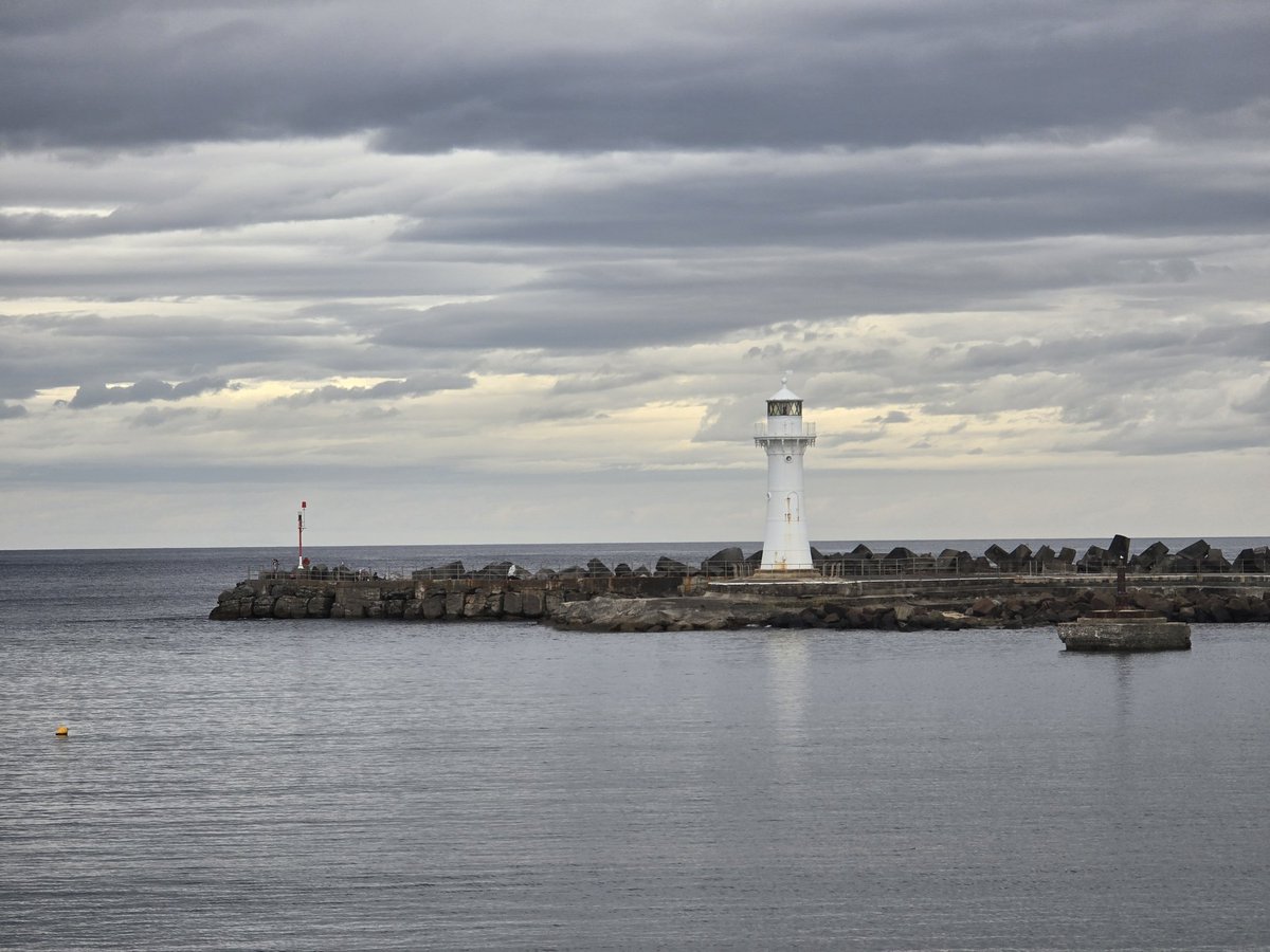 mpstoh's tweet image. Gm