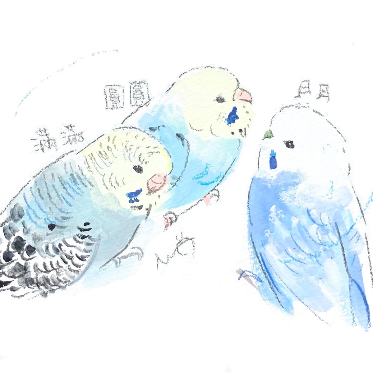 okumura_michiyo's tweet photo. オーダーイラスト
ちびっこセキセイさんたちと
大人セキセイさんを描きました
親子ではありません🐤
#小鳥時光 4.0 #kotoritime https://t.co/ZLs9eLyNa0